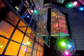 Hotel The Icon & Lounge Prag